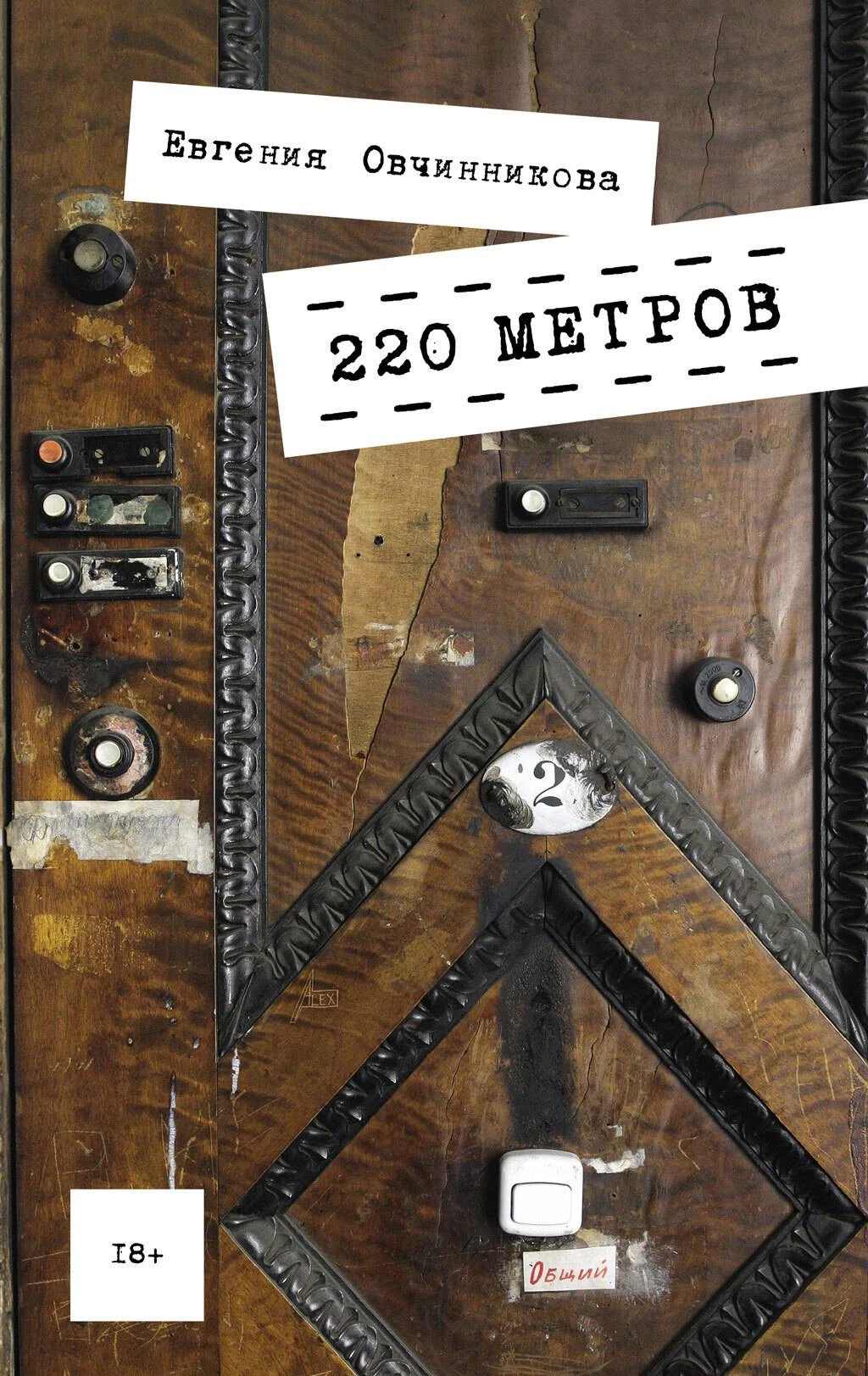 220 метров - Евгения Овчинникова