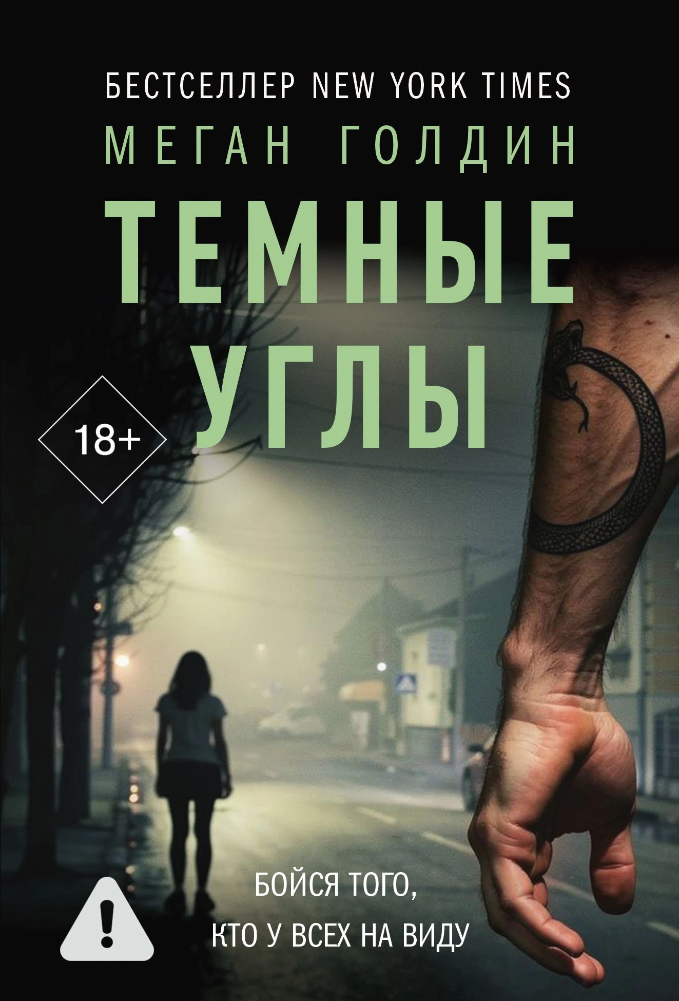 Темные углы - Меган Голдин