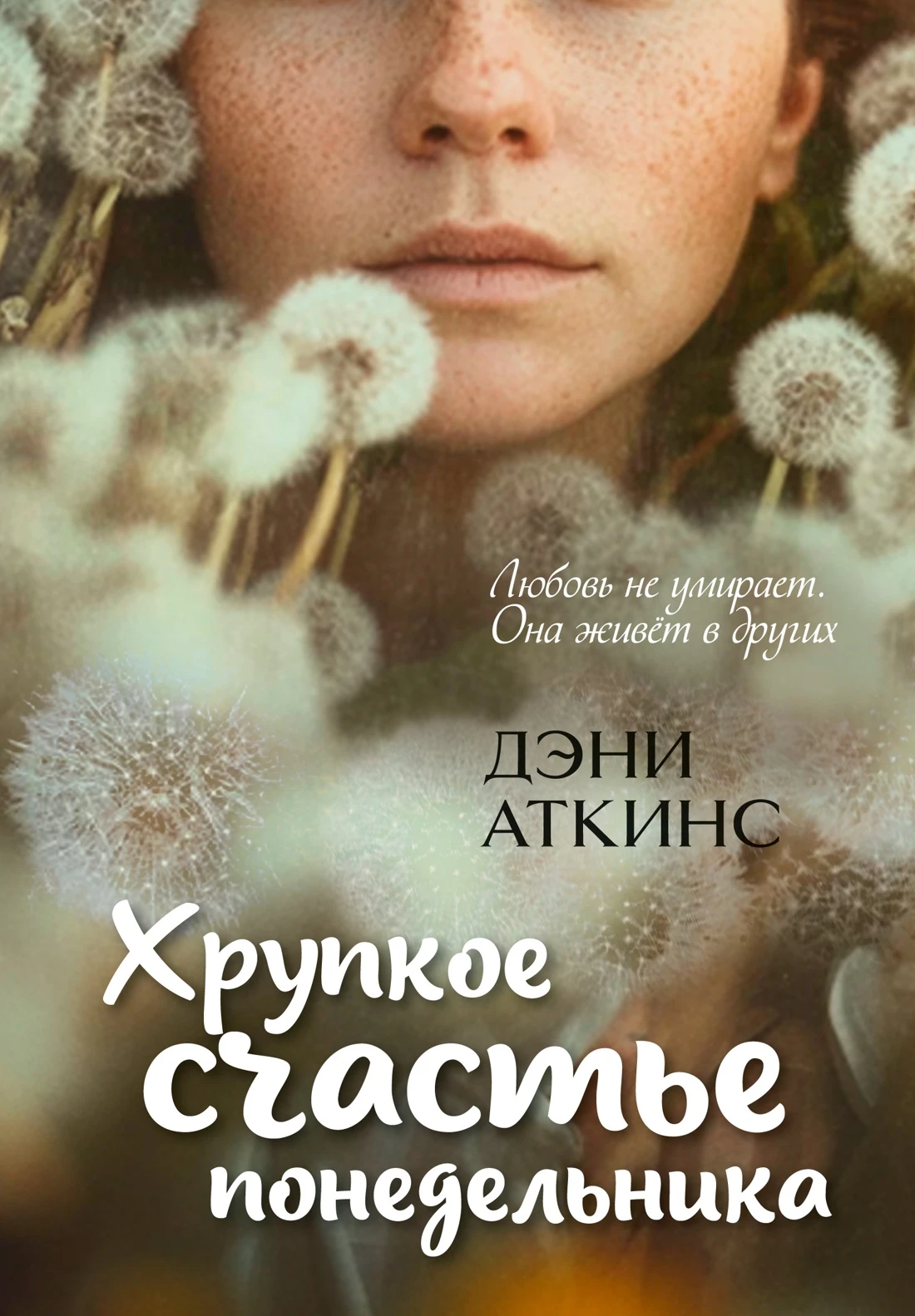 Хрупкое счастье понедельника - Дэни Аткинс