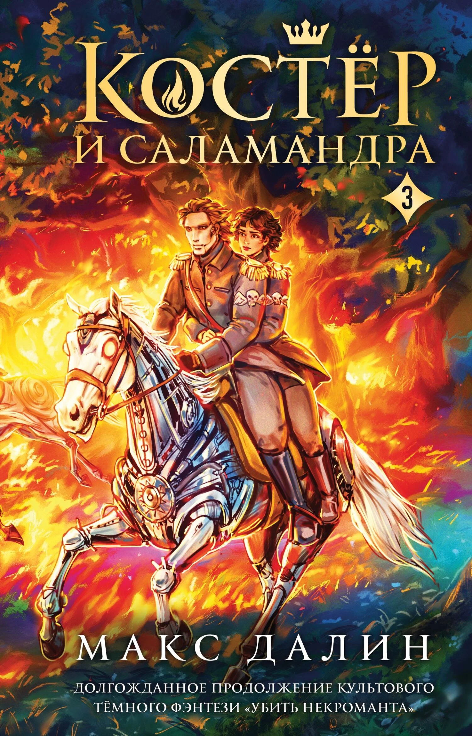 Костер и Саламандра. Книга 3 - Максим Далин