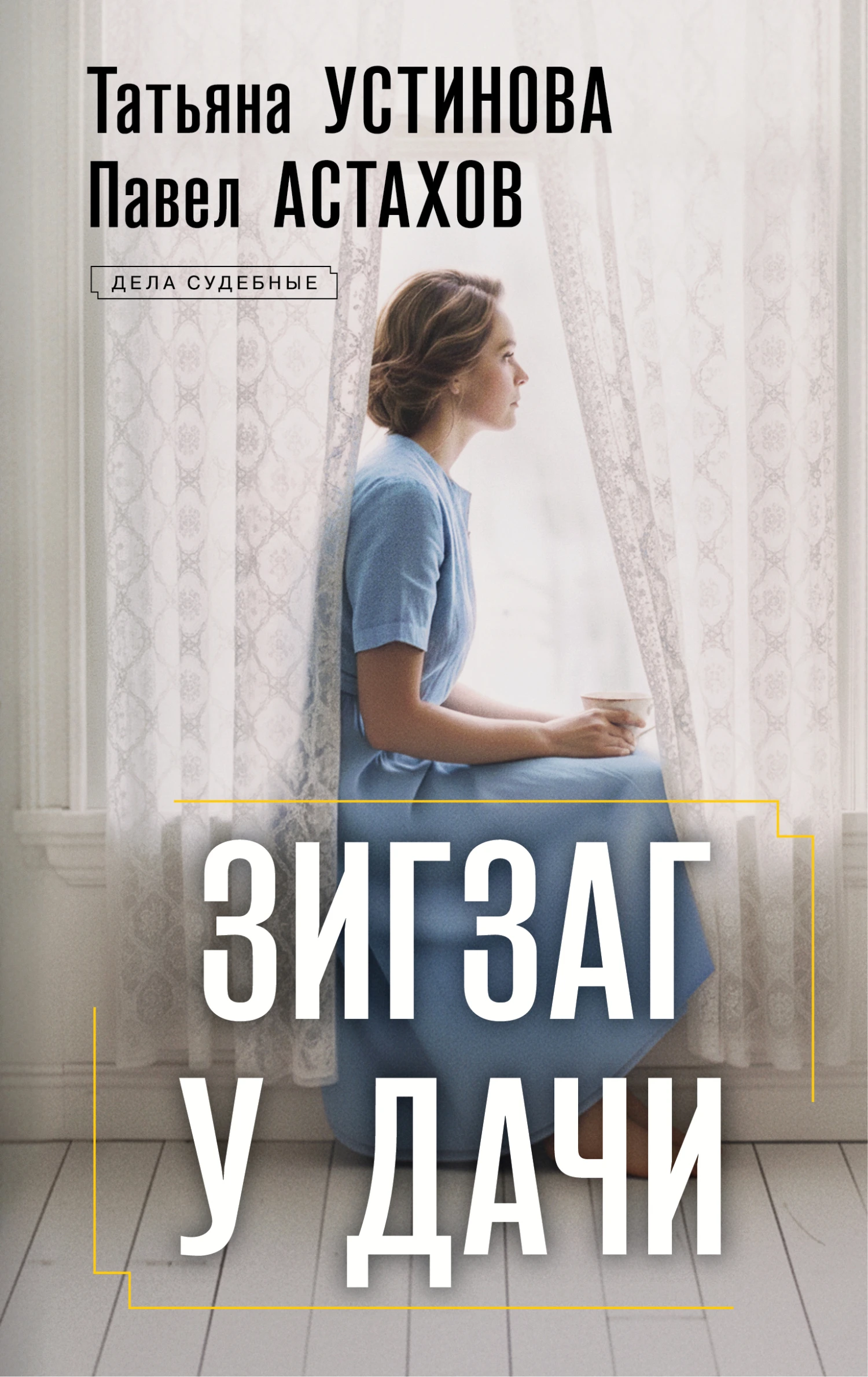 Зигзаг у дачи - Татьяна Устинова,Павел Астахов