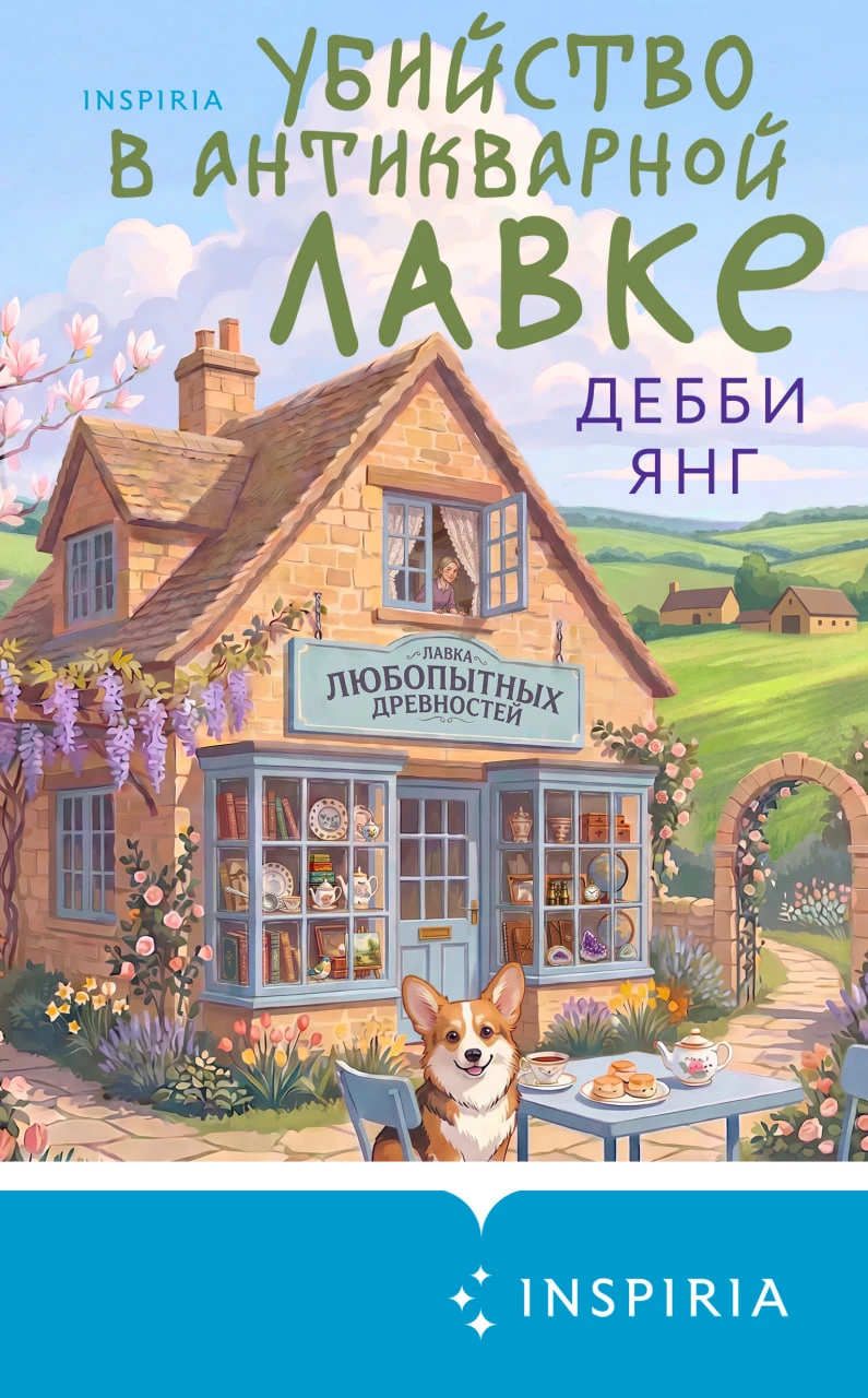 Убийство в антикварной лавке - Дебби Янг